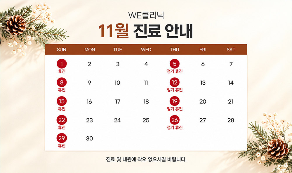 11월 진료안내
